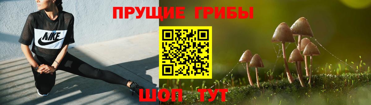 Псилоцибиновые грибы мухоморы  как найти наркотики  Зерноград  Вход с VPN 
